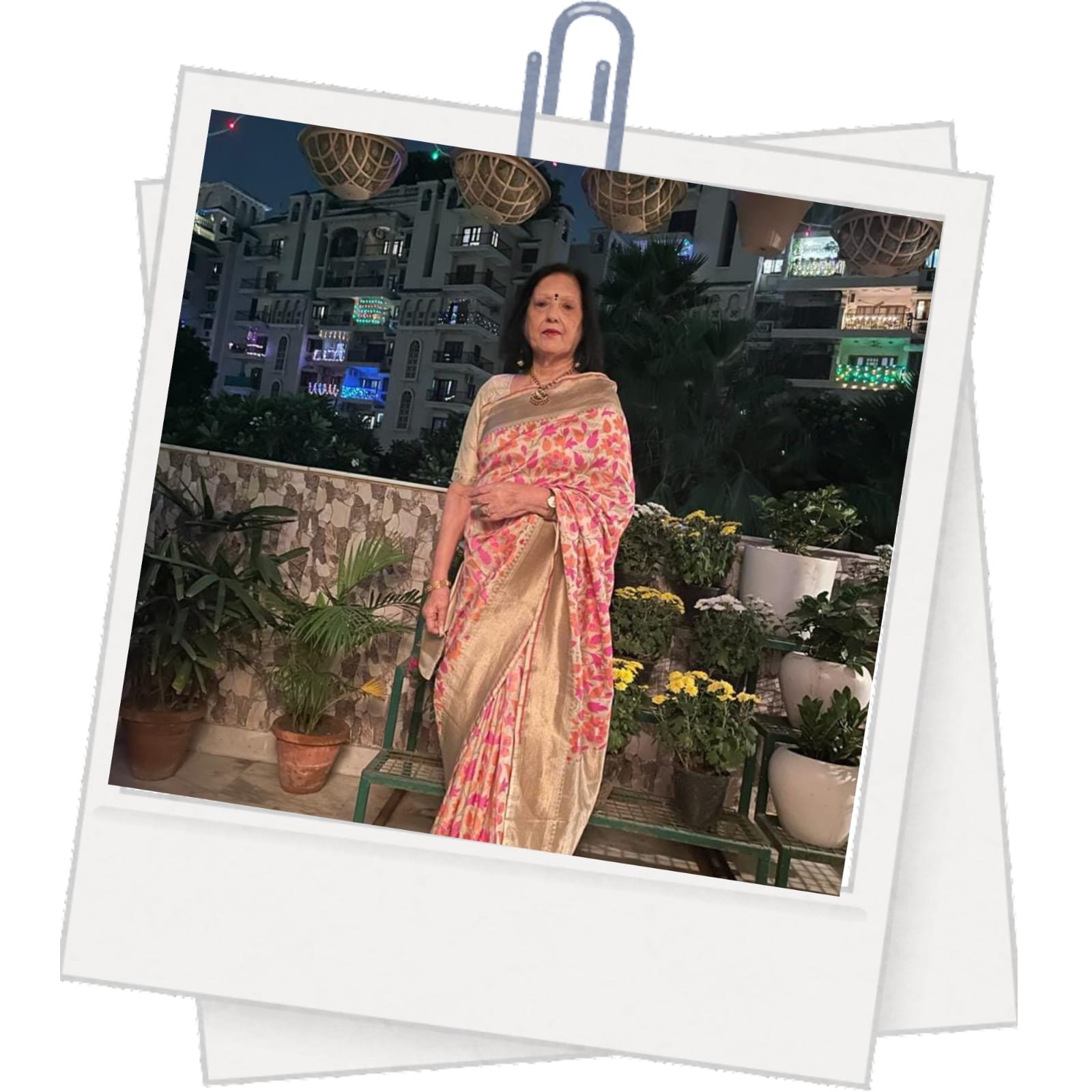 Handloom Banarasi Sarees
