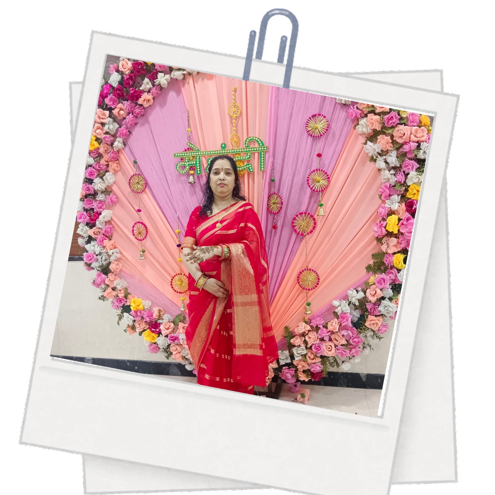 Banarasi Organza Sarees